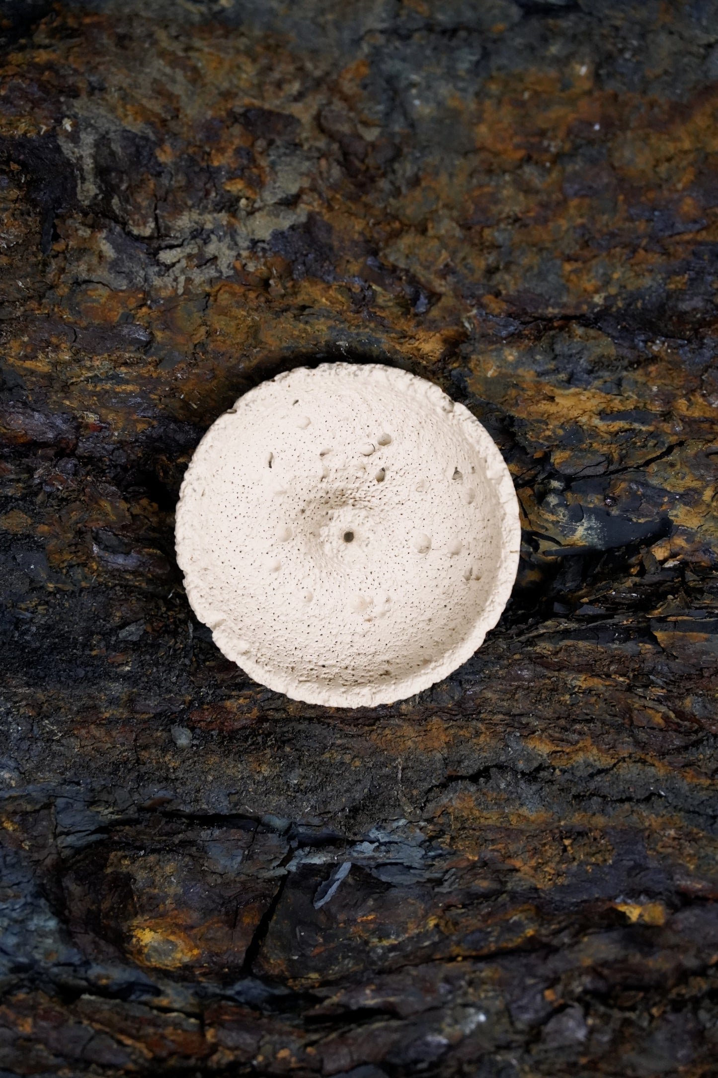 Cream white volcanic incense holder resting on dark textured stone – OM handcrafted design