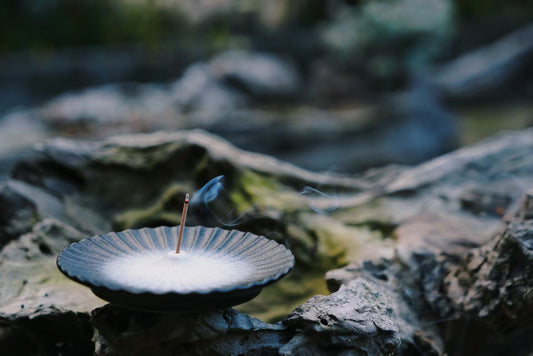 Walk with scent, into the wild.