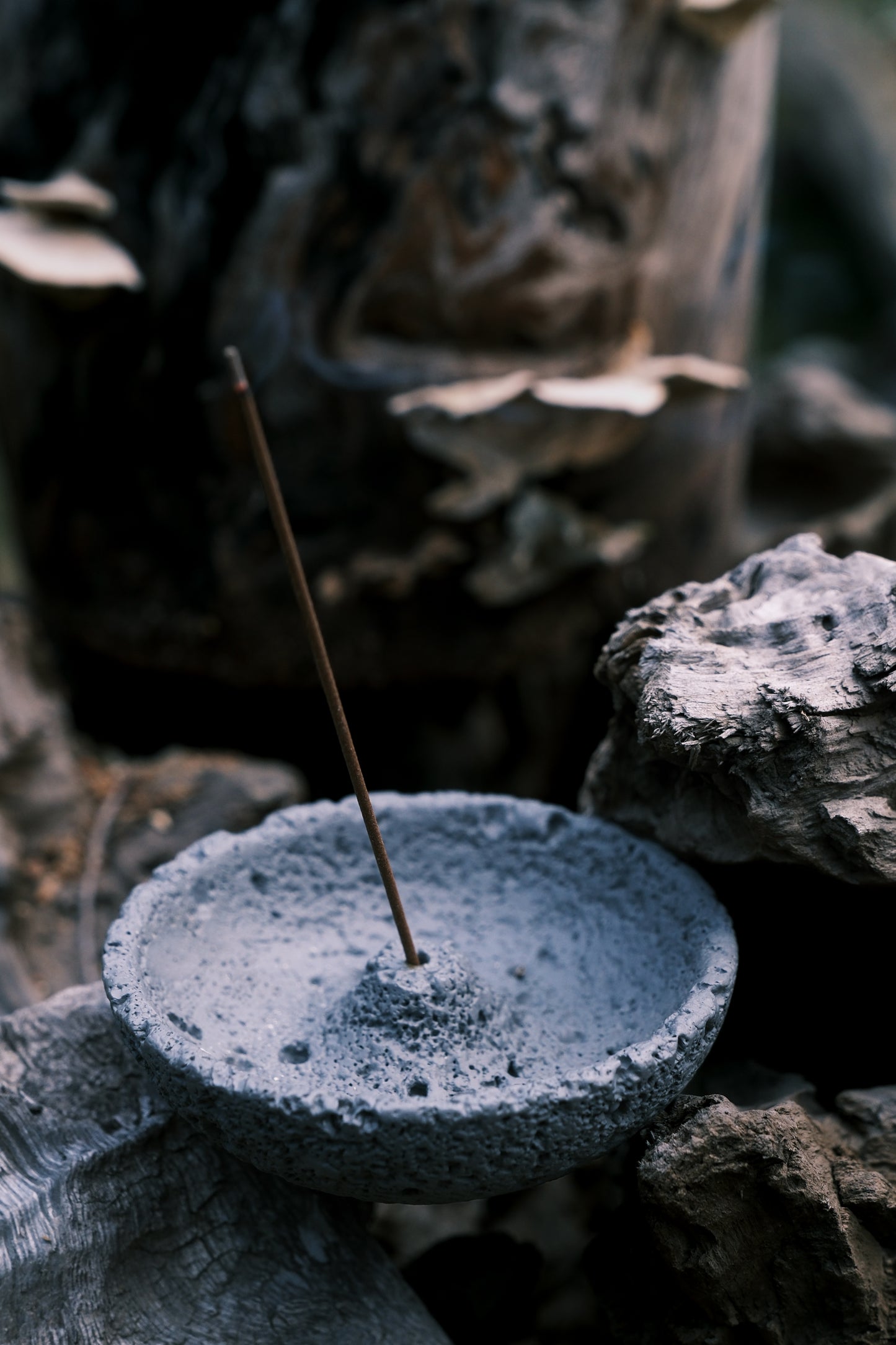 Grey volcanic incense holder placed on wet stone in natural forest – OM ritual aesthetic outdoors