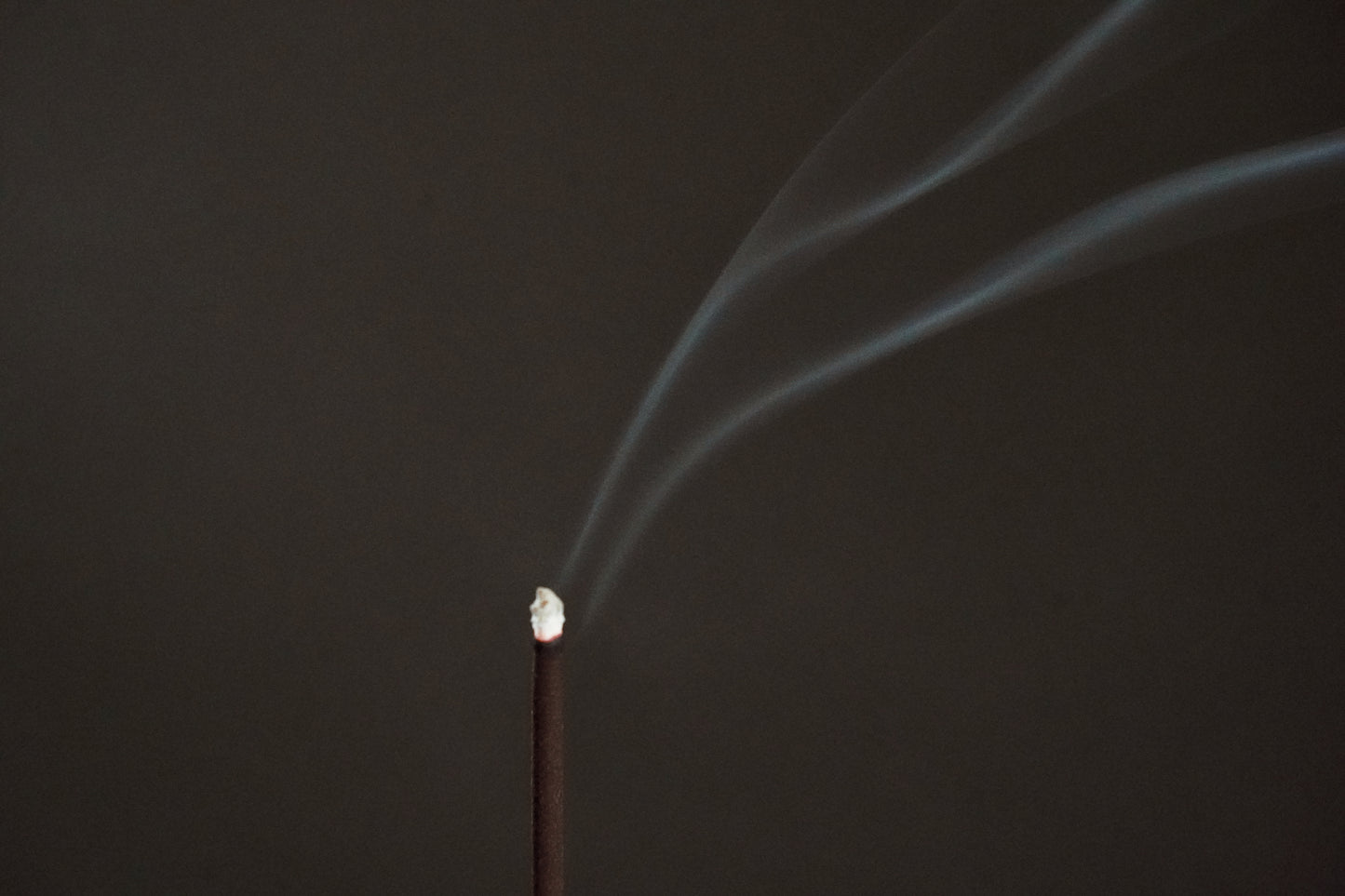 Incense smoke rising in dark background – OM coffee blend fragrance in use