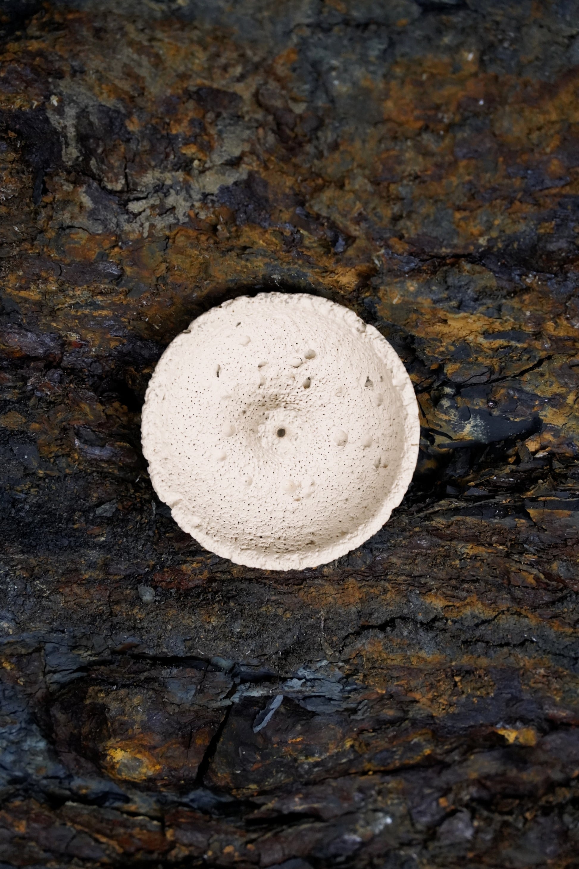 Cream white volcanic incense holder resting on dark textured stone – OM handcrafted design