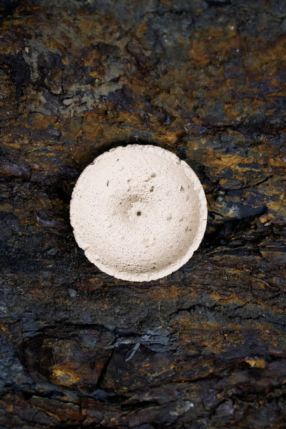 Cream white volcanic incense holder resting on dark textured stone – OM handcrafted design