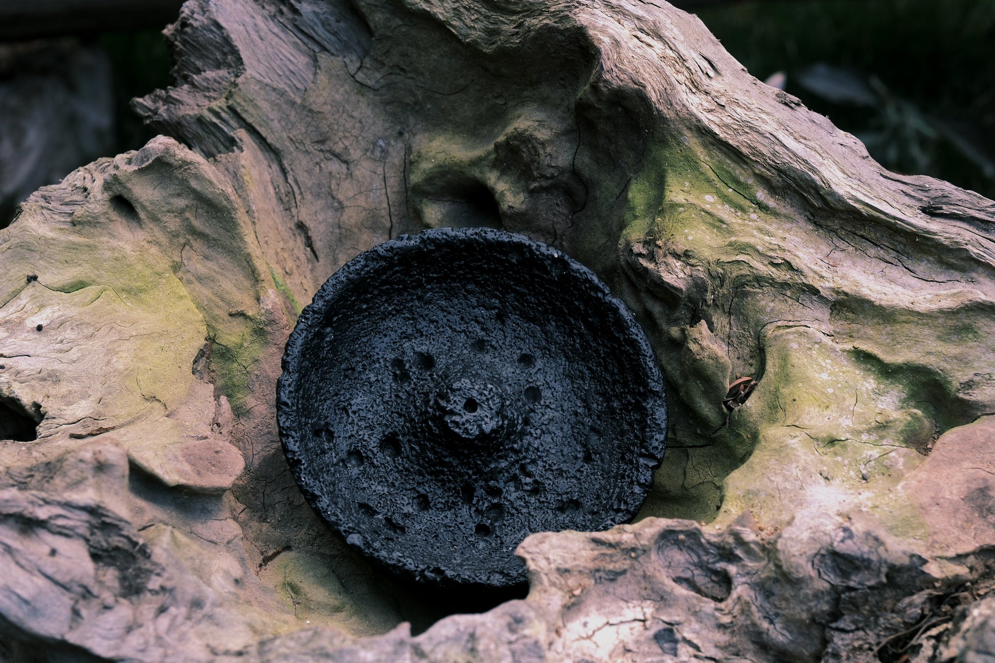 Black incense holder with OM incense sticks resting on mossy root – outdoor ritual scene