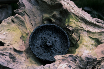 Black incense holder with OM incense sticks resting on mossy root – outdoor ritual scene