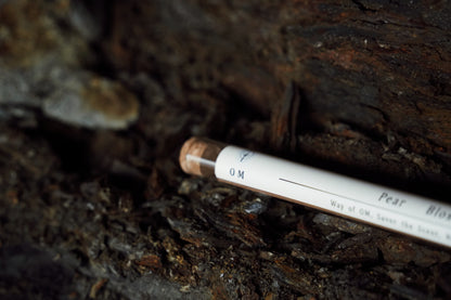 Pear Blossom incense stick set in forest soil – fresh and fruity scent with morning earth energy