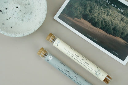 Close-up of white round incense holder with OM incense sticks – natural minimalist presentation