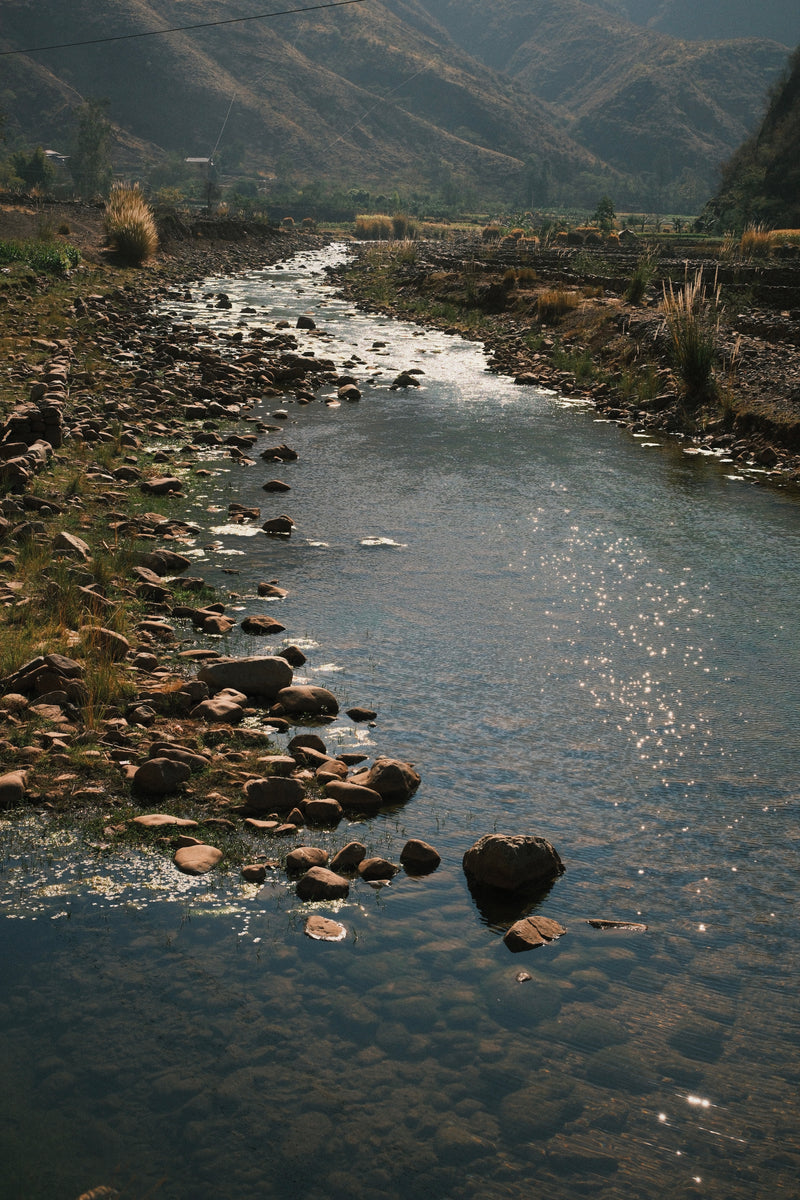 Shimmering Light on Water
