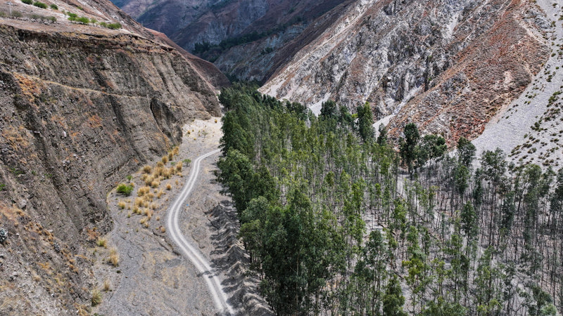 Through the Untamed Canyon